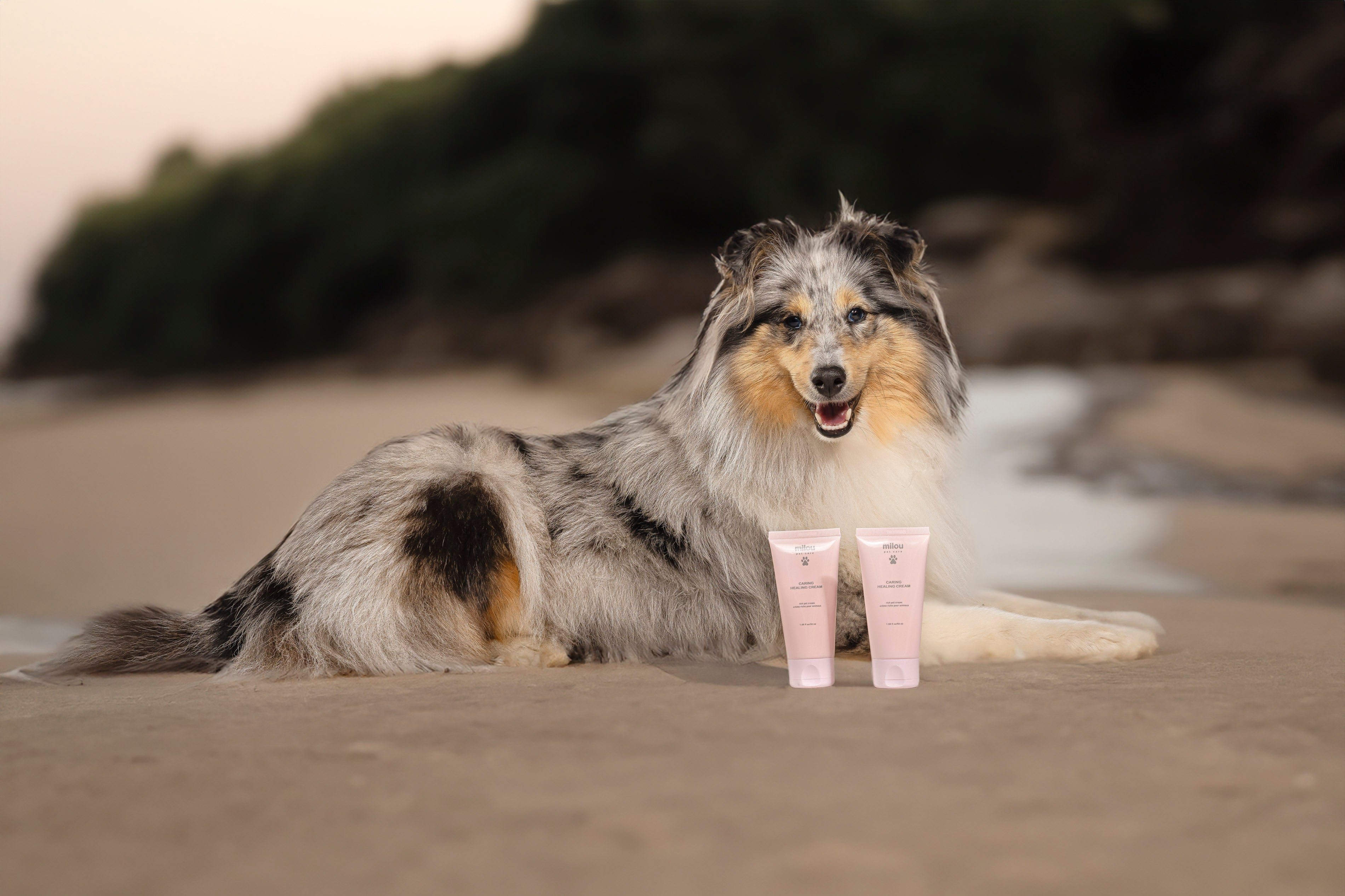 234_7.jpg__PID:89ceea43-362c-4686-9fb7-9e3eab8e6e37