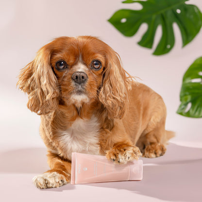 Nourishing Paw & Nose Balm