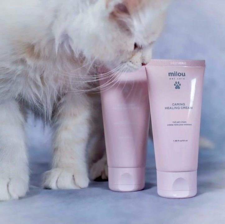 Caring Healing Cream