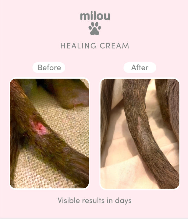 Caring Healing Cream