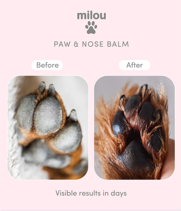 Nourishing Paw & Nose Balm