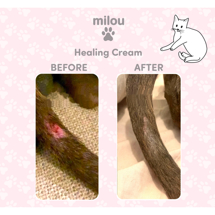 Caring Healing Cream