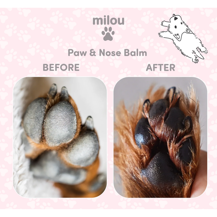 Nourishing Paw & Nose Balm